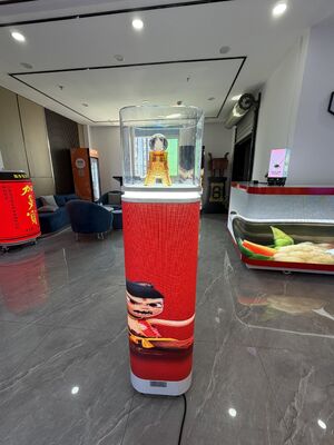 kaufen Temperaturgesteuerte Led-Vitrine mit präziser Klimaregulierung und Energiebeleuchtung für empfindliche Produkte online manufacture